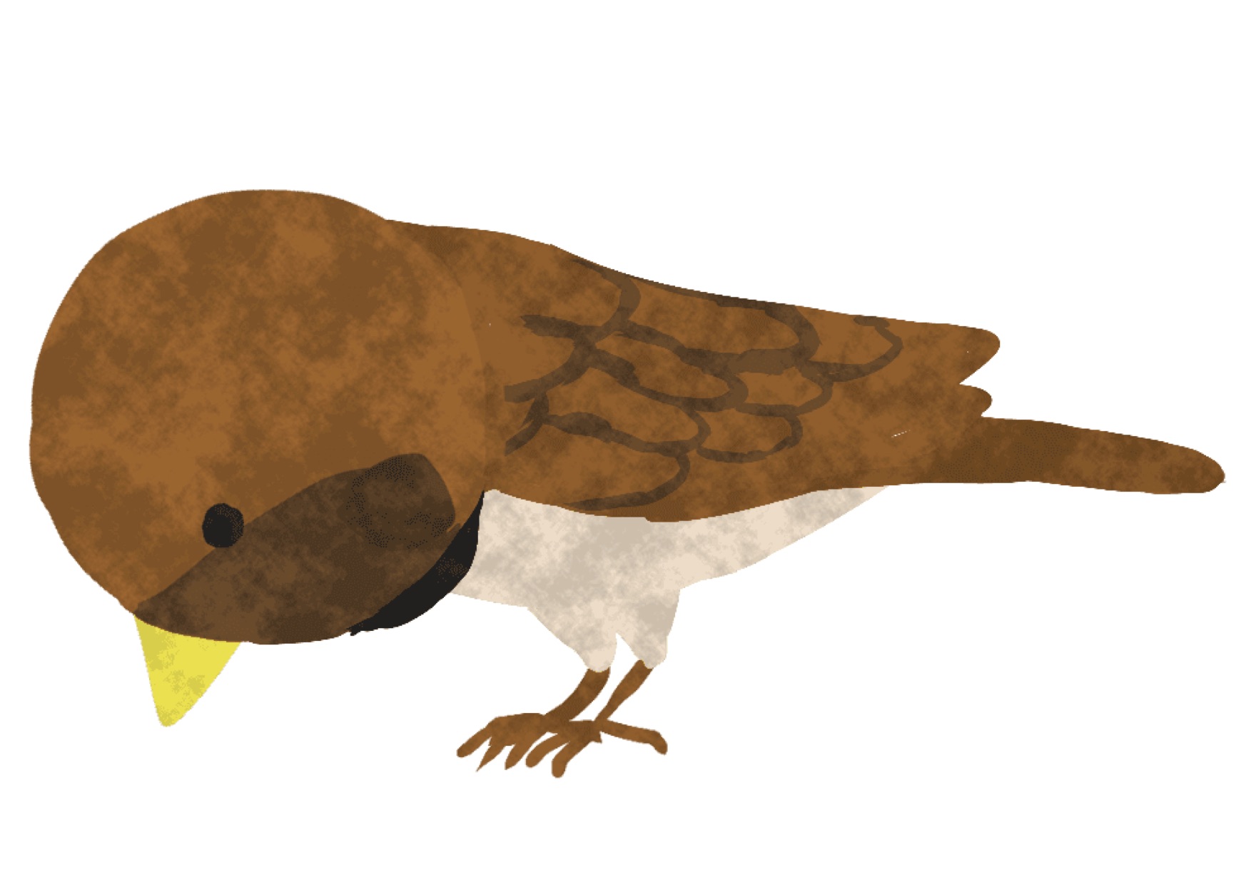 すずめのヒナが落ちていたら どうしますか